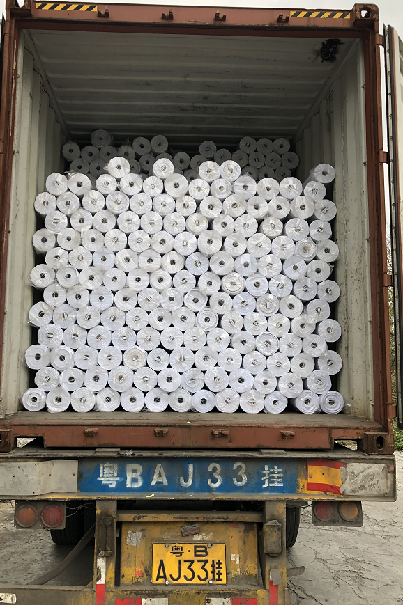 Container load 1.jpg